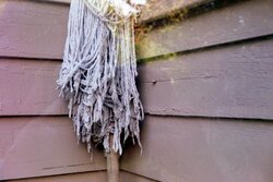 A mop against a wall