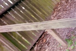 Ext. beam holding up the fence