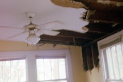 Int. The ceiling of an unfinished back room