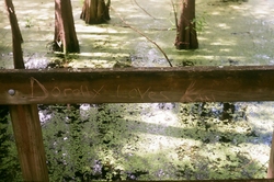 A fence with "Dorothy loves Kan" scratched on it