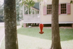 A red hummingbird feeder