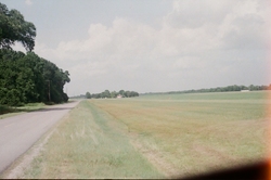 A field next to a road