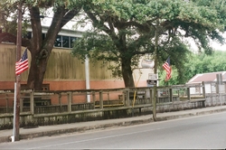 Street, oak trees, American flags