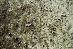 Dirt
