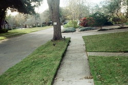 Sidewalk