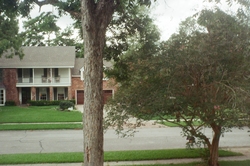 Trees, house