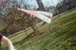 Flag in the breeze