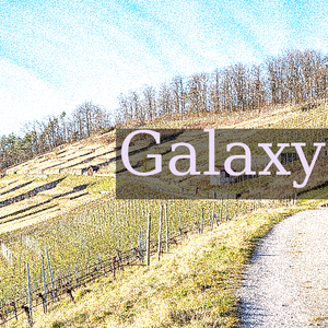 The historic Geigersberg vineyard, northeast of the Sachsenheim district of Ochsenbach in Germany, still retains many of its old dry stone walls and is home to rare plant and animal species.
