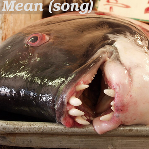 California Sheephead (Semicossyphus pulcher) at Ensenada's fishmarket (Mercado Negro), Baja California, México.
