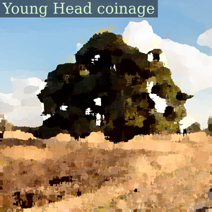 Delleboersterheide, nature reserve of the It Fryske Gea. Scots pine (Pinus sylvestris) on an overgrown heathland.