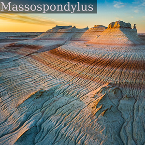 Kyzylkup table mountain. Kyzylsai regional park, Mangystau District, Mangystau Region, Kazakhstan
