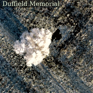 Solitary tree with frost and fields near Hausdülmen, Dülmen, North Rhine-Westphalia, Germany