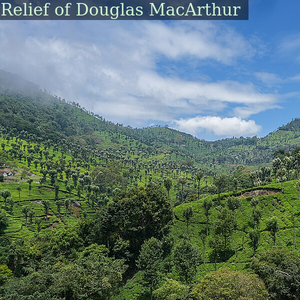 Glendale tea estate with silver oak shade trees, verdant green and bright blue during a break from the monsoon rains. View from NH-181, Kattery, Nilgiris district, Tamil Nadu, India