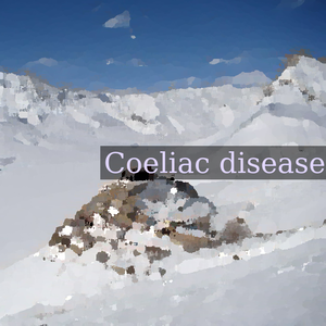 Key Monastery in the northern Indian state of Himachal Pradesh. It is located at an elevation of 4,166 m (13,668 ft) on a hill rising above the Spiti valley, where it is the largest monastery and houses hundreds of monks. It is said to have been founded in the 11th century and belongs to the Gelugpa school of Indo-Tibetan Buddhism. This view shows the monastery in winter, overlooking the snow-covered Spiti river valley with the Himalayas in the background.